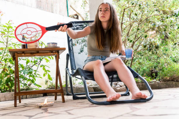 How to Win the Battle Against Mosquitoes and Reclaim Your Comfort